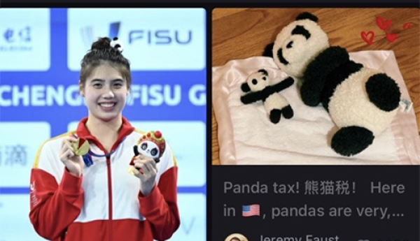 当国宝遇上非遗：爱上淘宝的熊猫公益，网友表示根本停不下来！