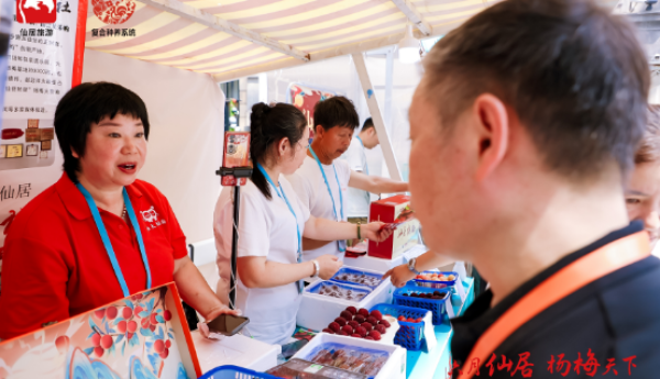 六月仙居 杨梅天下丨2025中国浙江仙居杨梅 上海推介会今天举行