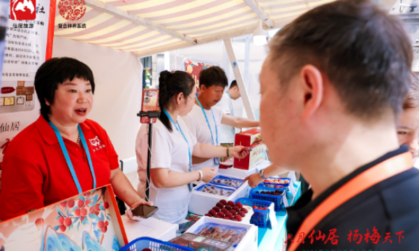 六月仙居 杨梅天下丨2025中国浙江仙居杨梅 上海推介会今天举行